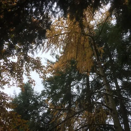 Ferienhaus-stadtkyll Beim Foerster Stadtkyll