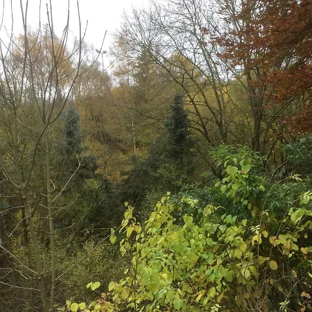 Ferienhaus-stadtkyll Beim Foerster Σπίτι διακοπών Stadtkyll