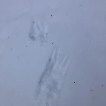 Σπίτι διακοπών Ferienhaus-stadtkyll Beim Foerster Stadtkyll