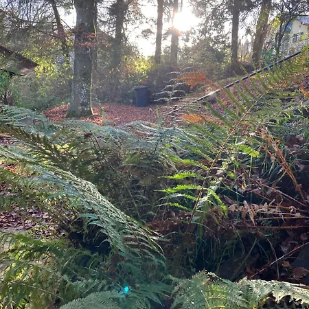 Ferienhaus-stadtkyll Beim Foerster * Stadtkyll