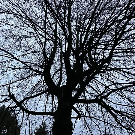 Ferienhaus-stadtkyll Beim Foerster * Stadtkyll