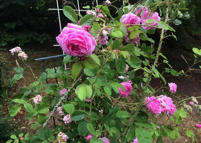 Ferienhaus-stadtkyll Beim Foerster * 슈타트킬