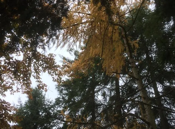 Ferienhaus-stadtkyll Beim Foerster 슈타트킬