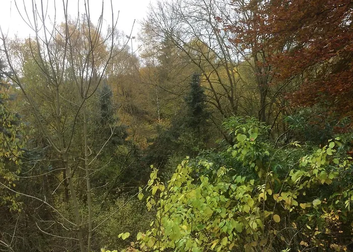 Ferienhaus-stadtkyll Beim Foerster 펜션 슈타트킬