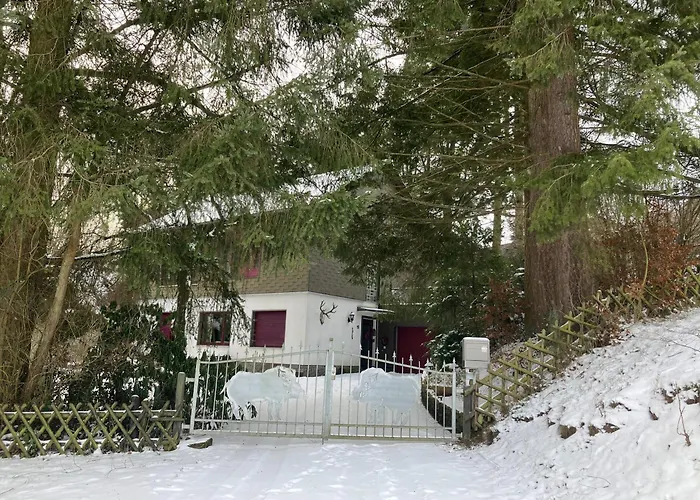 펜션 Ferienhaus-stadtkyll Beim Foerster *