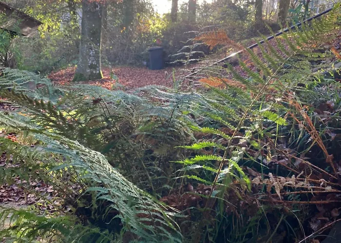 Ferienhaus-stadtkyll Beim Foerster * 슈타트킬